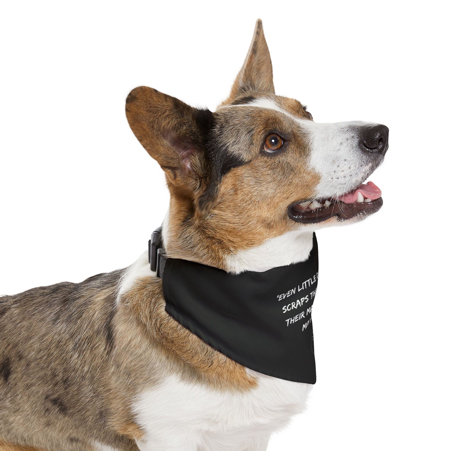 Even Little Dogs - Matthew 15: 26 - Pet Bandana